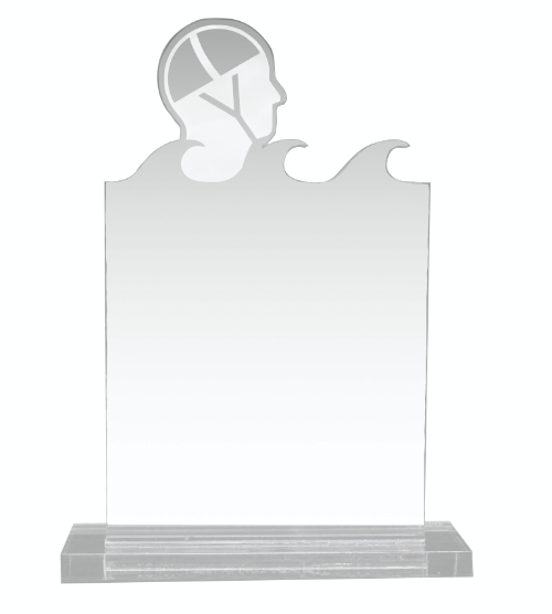 Acrylic Swim Award