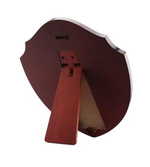 Alternative view of Victor Shield + 10 Mini Shields