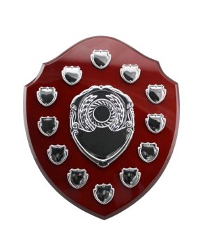 Victor Shield + 12 Mini Shields