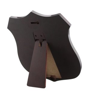 Alternative view of Wallace Shield + 12 Mini Shields