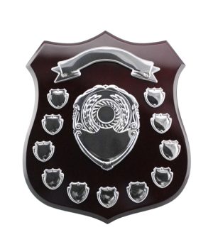 Wallace Shield + 11 Mini Shields