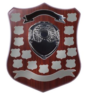 Pre-assembled Shields