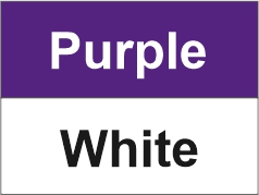Purple - White