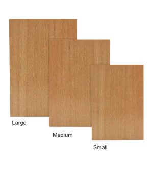 Alternative view of Randolph Rākau Taonga