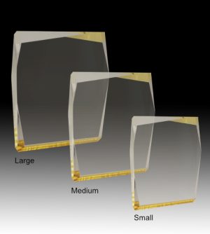 Alternative view of Arrowtown Gold Award