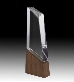 Alternative view of Everest Crystal Award