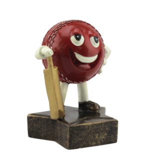 Cricket - Mini Star Award