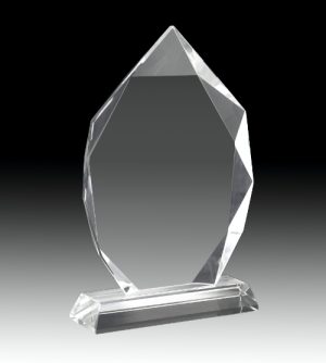 Alternative view of Amazon Crystal Award