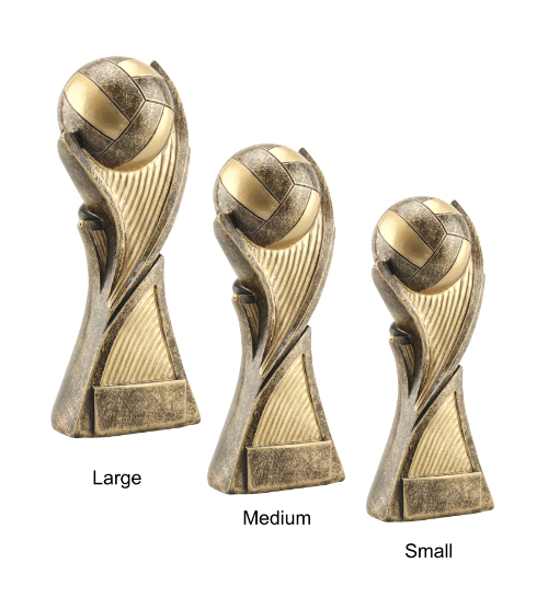 Vanguard Netball Trophy - Image 3