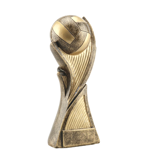 Vanguard Netball Trophy - Image 2