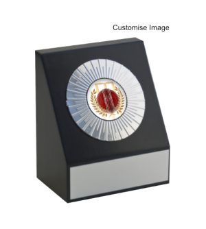 Dayton Award - Cricket