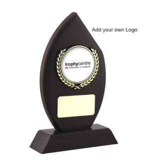 Alternative view of Flame Award - Cricket