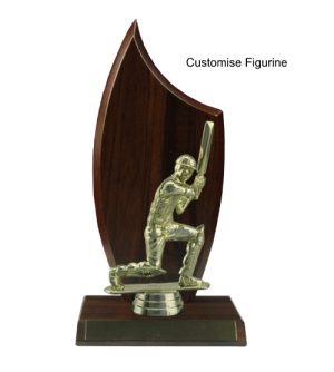 Flame Range - Cricket