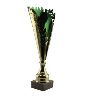 Alternative view of Kākāriki Cup