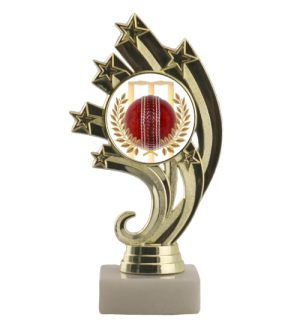 Shooting Stars Holder - Cricket
