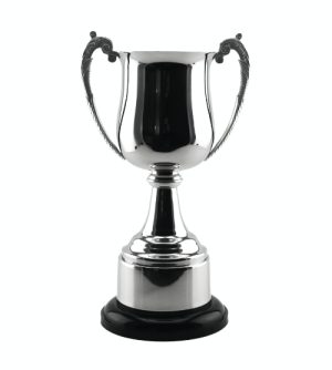 Silver Vertex Cup