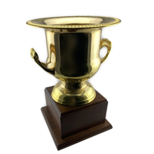 Alternative view of The Regal Gold Trophy